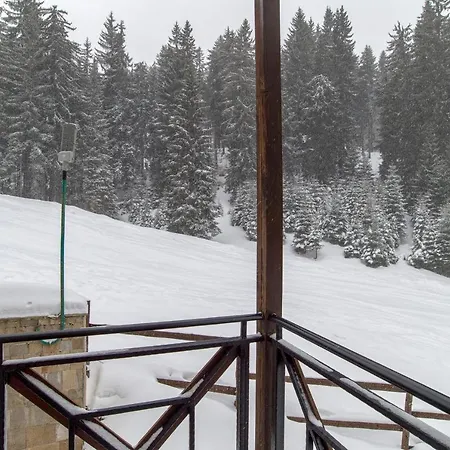 *by The Fireplace* Cosy 1bd Flat With A View Пампорово